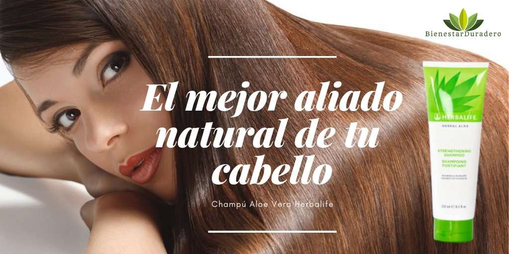 herbalife champu aloe vera