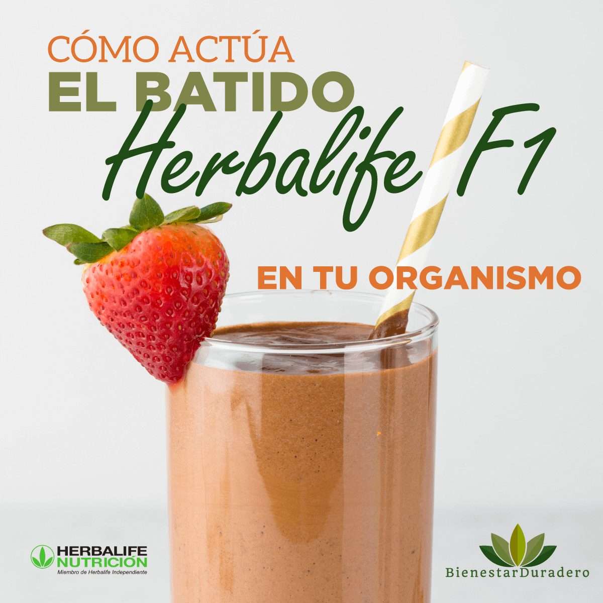 Herbalife F1