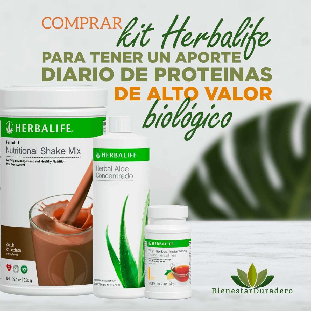 Kit Herbalife